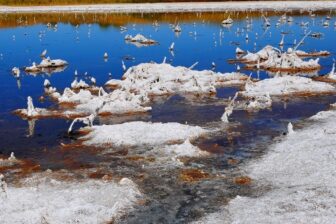 Voyage botanique en Ouzbékistan : Nature, biodiversité et découvertes