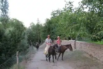 Voyage en train et à cheval – Image 3