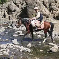 À cheval vers Nurata : immersion dans la vie de village ouzbek