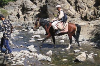 À cheval vers Nurata : immersion dans la vie de village ouzbek