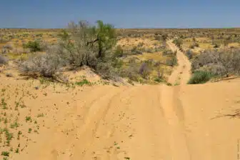 Raid Moto en Ouzbékistan : L’aventure épique sur la Route de la Soie – Image 3