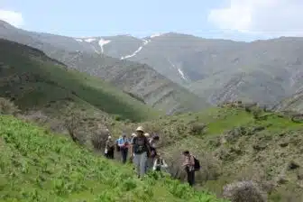 Chevauchée sauvage dans le Tien Shan – Randonnée équestre en Ouzbékistan – Image 10