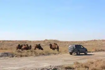 Raid en 4x4 sur la Route de la Soie – Image 15