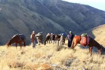 À cheval vers Nurata : immersion dans la vie de village ouzbek – Image 8