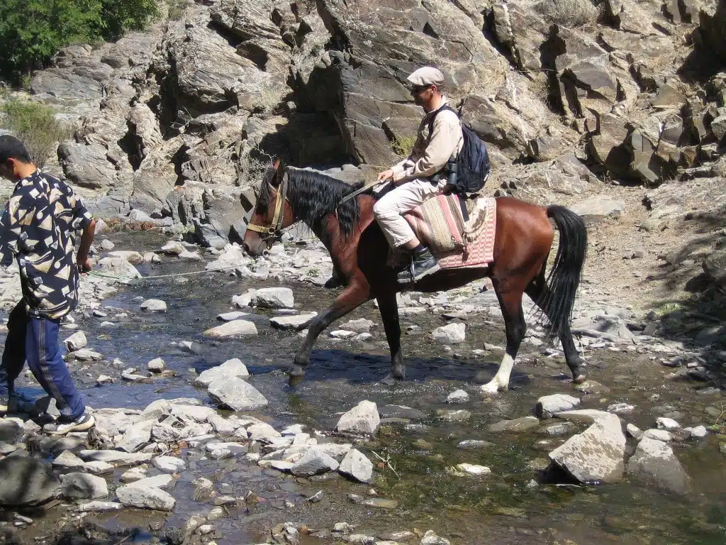 Sur les traces des peuples cavaliers : de Boukhara à Samarcande à cheval – Image 7