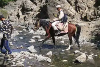 Chevauchée sauvage dans le Tien Shan – Randonnée équestre en Ouzbékistan – Image 7