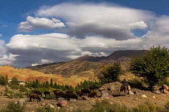 Escapade vers Nurata et le désert de Kyzylkum