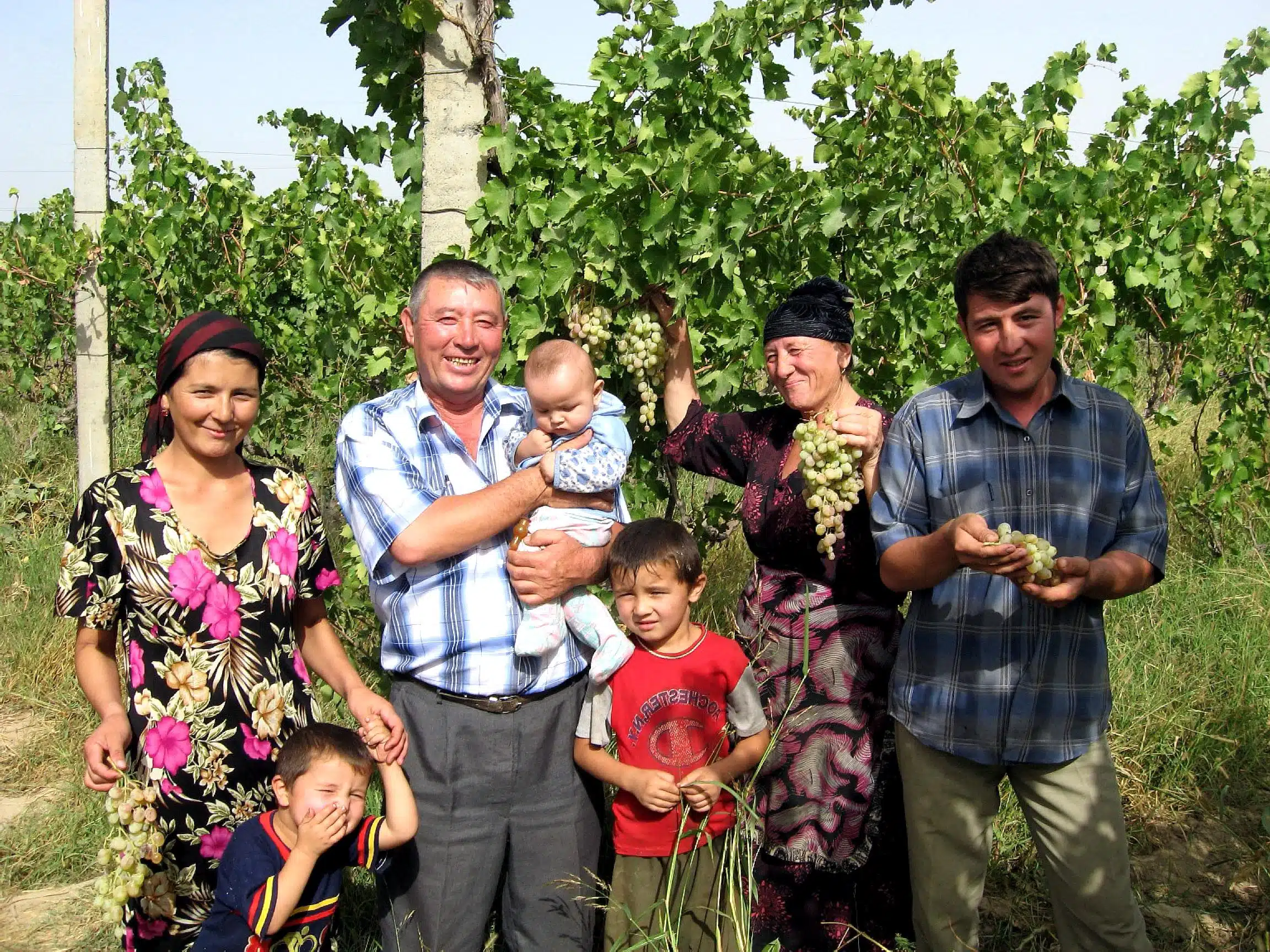 Circuit dans les vignobles ouzbeks – Image 5