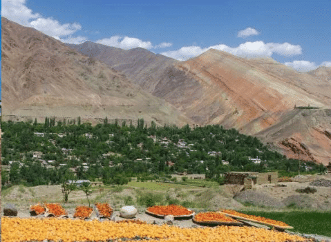 La grande route de la soie en petit groupe, de Pékin à Samarcande – Image 4