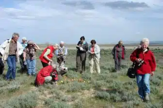 Voyage botanique en Ouzbékistan : Nature, biodiversité et découvertes – Image 5