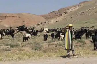 Sourkhandaria secrète : Termez & montagnes de Darband – Image 9