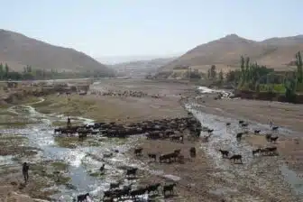 Escapade dans les villages ouzbeks, près de Samarcande – Image 6