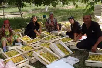 Escapade dans les villages ouzbeks, près de Samarcande – Image 7