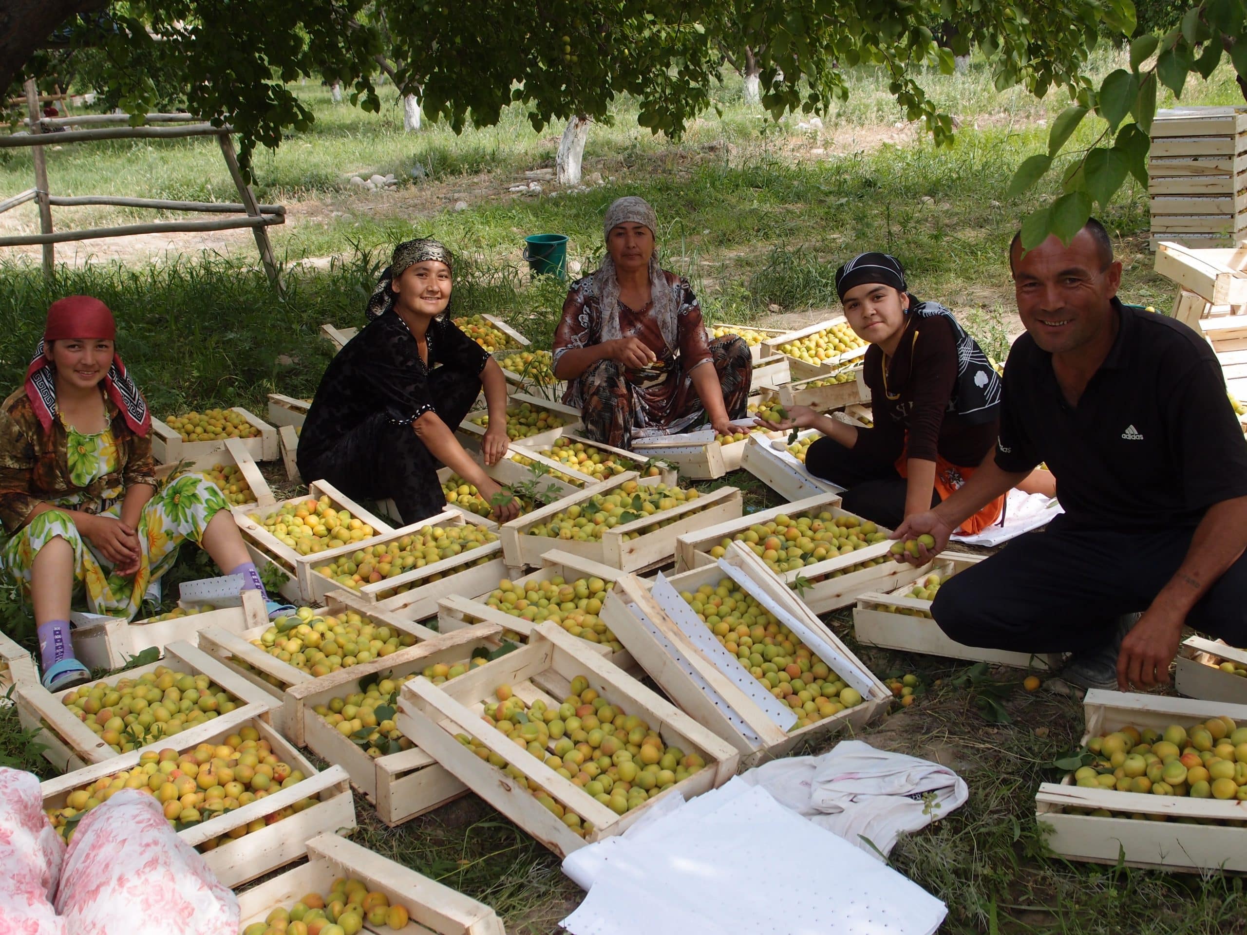 Escapade dans les villages ouzbeks, près de Samarcande – Image 7