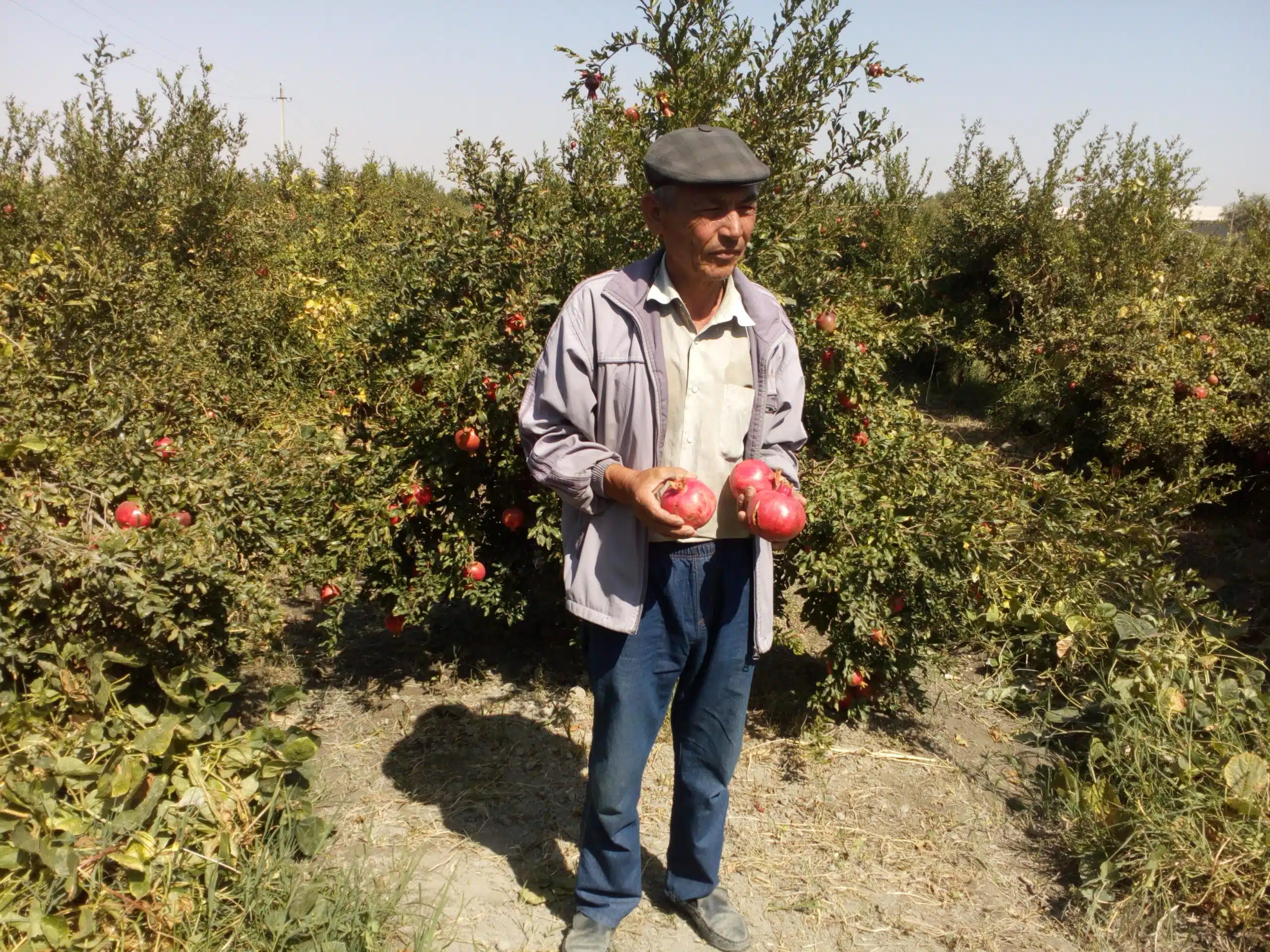 Villages ouzbeks agriculteur ouzbek