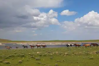 À cheval vers Nurata : immersion dans la vie de village ouzbek – Image 2