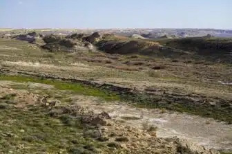 Excursion mer d’Aral et forteresses du Khorezm : sur les traces d’une mer disparue – Image 8