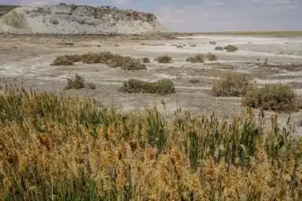 Excursion mer d’Aral et forteresses du Khorezm : sur les traces d’une mer disparue – Image 7