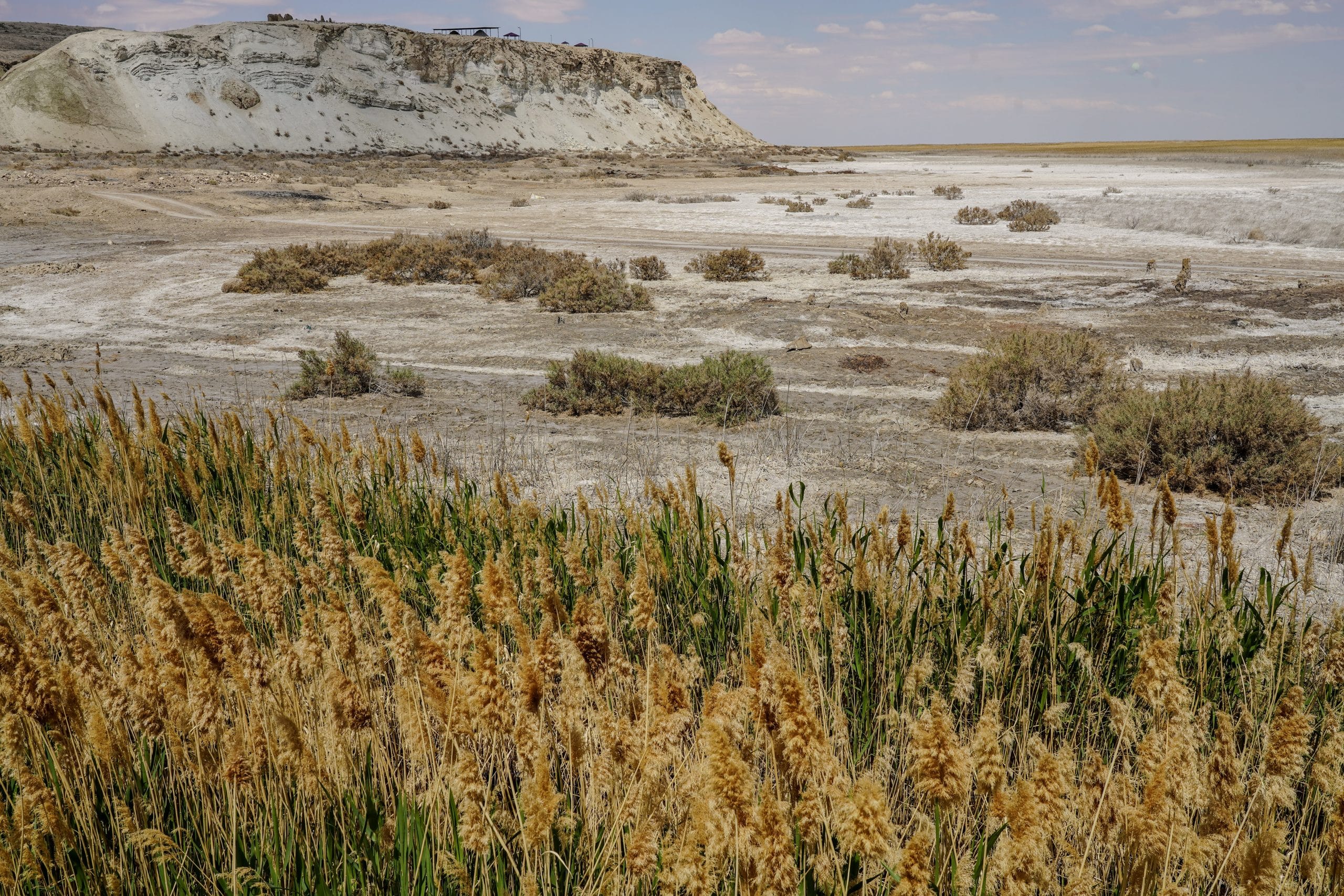 Excursion mer d’Aral et forteresses du Khorezm : sur les traces d’une mer disparue – Image 7