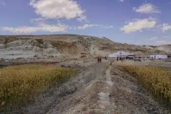 Excursion mer d’Aral et forteresses du Khorezm : sur les traces d’une mer disparue – Image 13